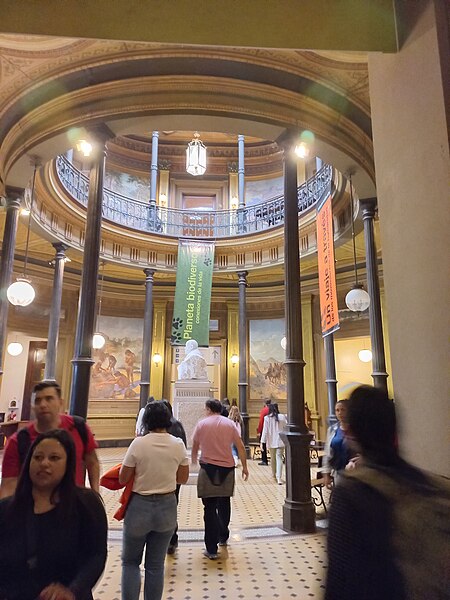File:Hall Museu de La Plata1.jpg
