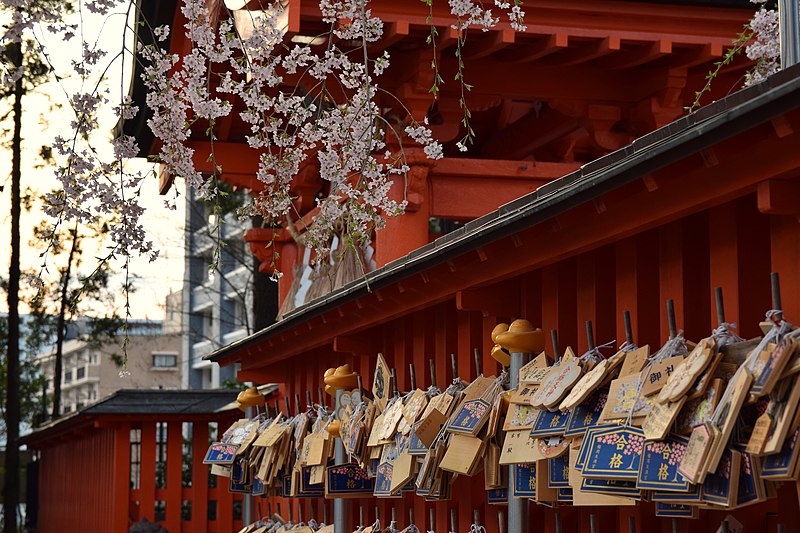 File:Hanami in Tsutsujigaoka park (42205048455).jpg