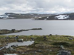 Le lac Halnefjorden, au nord du plateau.