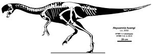 Skeleton reconstruction of Heyuannia huangi