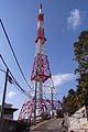 東山タワー（2011年1月）