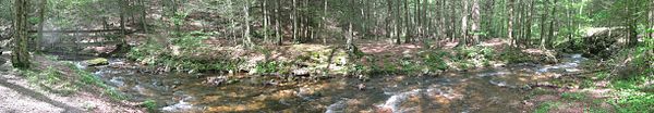 Swift Run in the High Rock picnic area of the Snyder Middleswarth Natural Area in May 2009