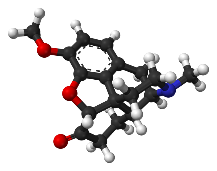 File:Hydrocodone-Spartan-PM3-3D-balls.png