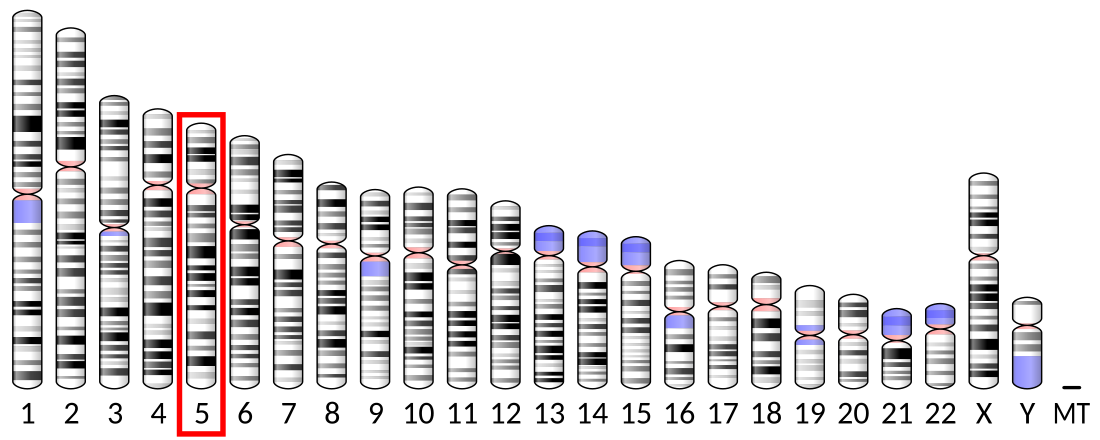 Receptor de dopamina D1