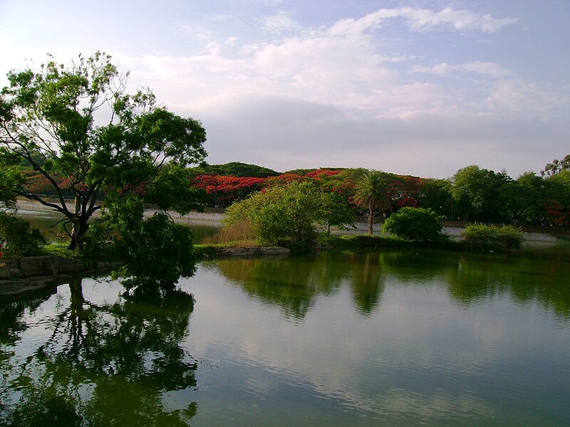 File:India-bangalore-lalbagh-lakeview.jpg