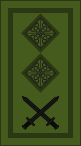 File:Ireland-Army-OF-5 camo.svg