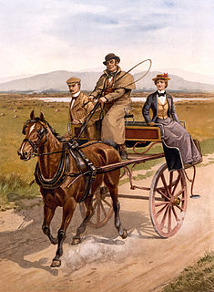 Jaunting car