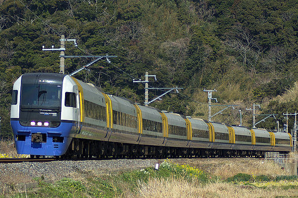 A 255 series EMU on a Sazanami limited express service