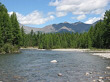 Mongolian forest interspersed with lakes and rivers JarainGol.jpg