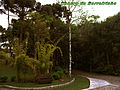 Jardim na Cidade de Curitiba by Augusto Janiscki Junior - Flickr - AUGUSTO JANISKI JUNIOR (1).jpg