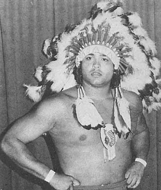 <span class="mw-page-title-main">Jay Youngblood</span> American professional wrestler (1955 – 1985)