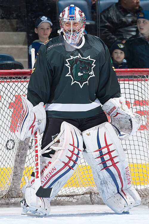 MacDonald with the Hamilton Bulldogs in 2014