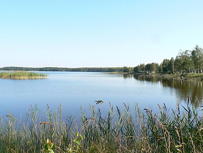 Kuidas ühistranspordiga sihtpunkti Kaisma Järv jõuda - kohast