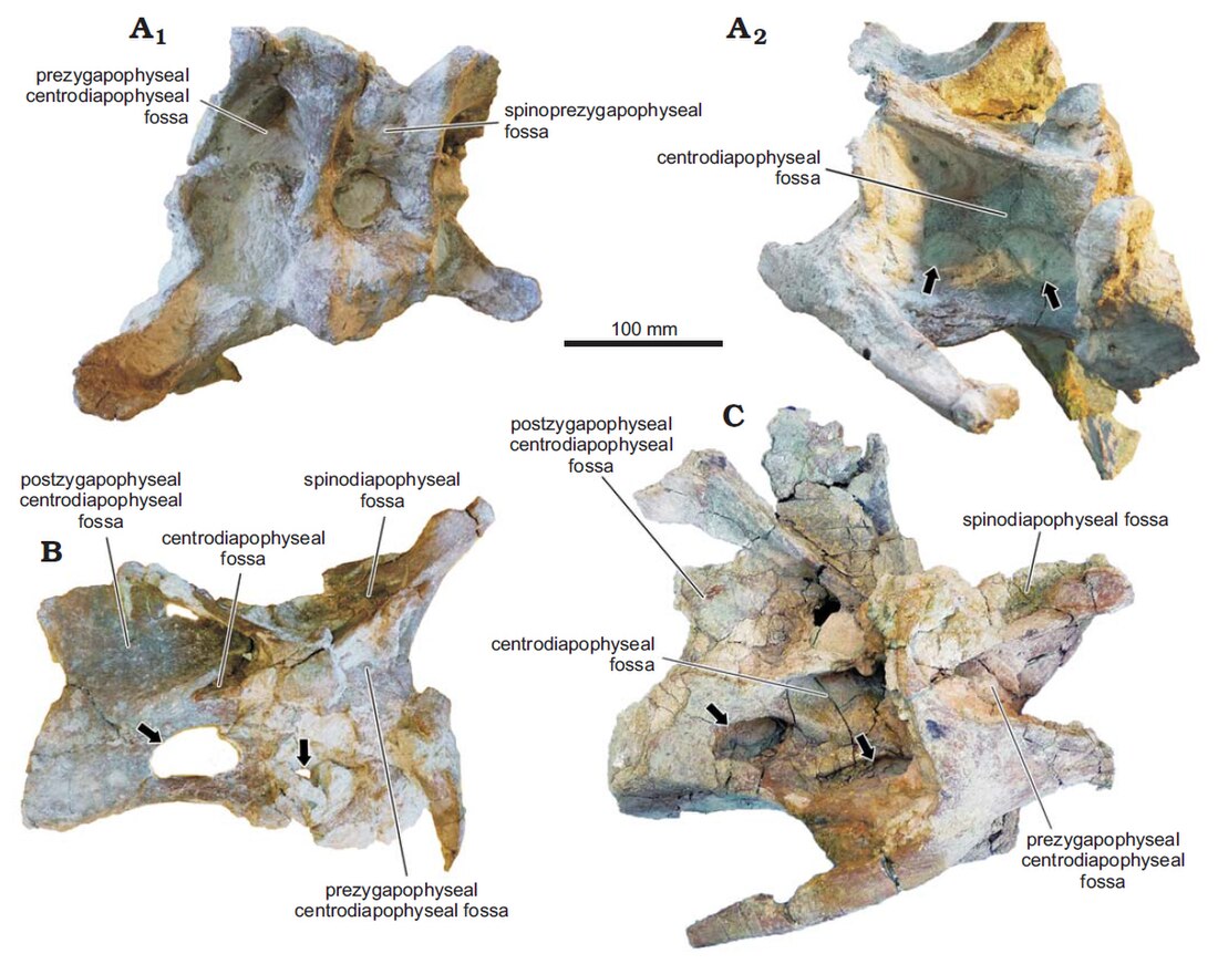 Katepensaurus goicoecheai