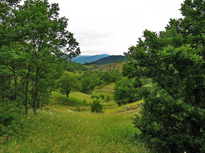 File:Katuni ispod Osojnice ka Mokroj Gori - panoramio.jpg