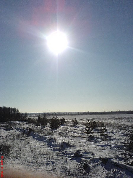 File:Khoyniki District, Belarus - panoramio (3).jpg