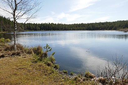 Kuidas ühistranspordiga sihtpunkti Aruaru jõuda - kohast