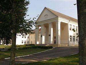 Школа імя Якуба Коласа ў 2008 годзе