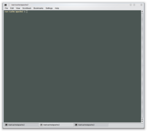 Screenshot de Konsole en KDE 4.2.
2