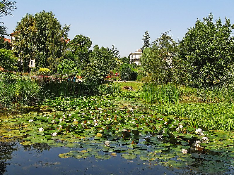 File:Kraków - ogród botaniczny......jpg