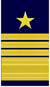 Amiral général de la Kriegsmarine OF9-s.png