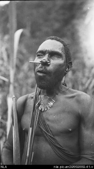 <span class="mw-page-title-main">Angu</span> Tribal peoples from Papua New Guinea