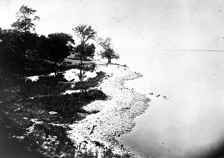 Beach ridge, Lake Ontario, New York, 1895.
