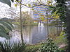 View of Lakeside Nature Reserve from a footpath off Strathmore Gardens