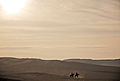 Landscape of Giza Plateau. Cairo, Egypt, North Africa.