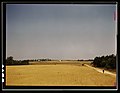 Landscape on the Jackson farm, vicinity of White Plains, Ga. LCCN2017877527.jpg