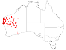 Lawrencia densiflora Distribution Map.png