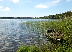 Den lille skovsø, vy mod syd, juni 2012