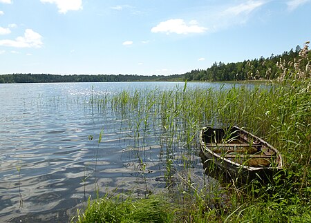 Lilla skogssjön Botkyrka 2012