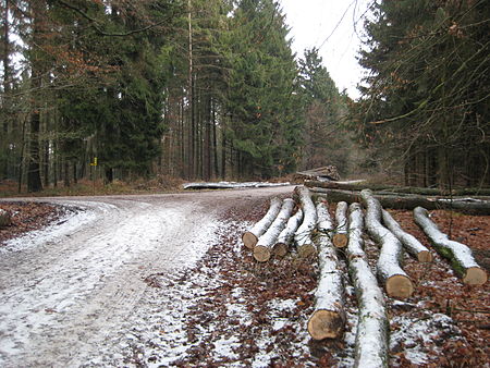 LimbergTeutoburgerWald25122007