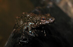 Popis tohoto obrázku, také komentován níže