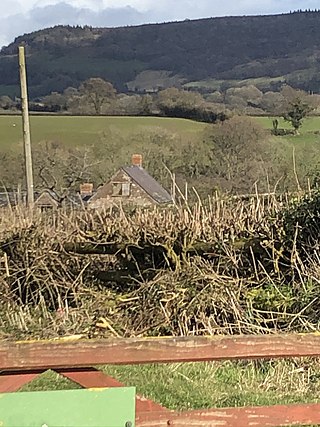 <span class="mw-page-title-main">Lower Celliau, Llangattock Lingoed</span> Farmhouse in Llangattock Lingoed, Monmouthshire