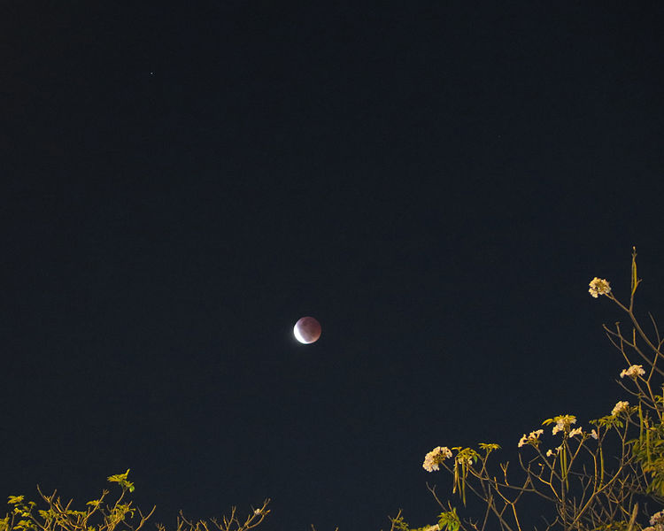 File:Lunar Eclipse 4 April 2015 bangkok.jpg