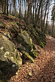 Deutsch: Basaltformationen im Naturschutzgebiet Bacher Lay bei Bad Marienberg