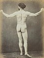 Gaudenzio Marconi (1841-1885), Nudo di spalle, 1870 ca.