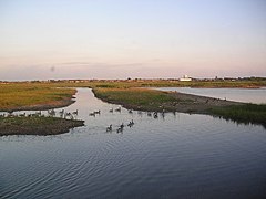 Marshside, Southport - geograph.org.uk - 25506.jpg