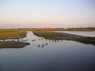 <span class="mw-page-title-main">Marshside RSPB reserve</span> Nature reserve in Southport, Merseyside, England