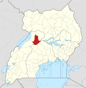 Masindi (distrikt)