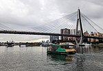 Thumbnail for Blackwattle Bay ferry services