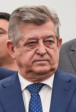 Mićo Mićić Bosnian Serb politician