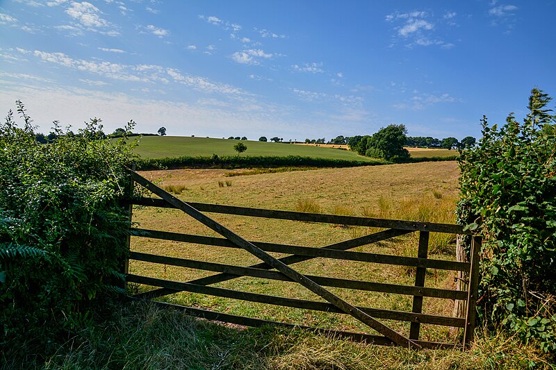 File:Mid Devon , Grassy Field ^ Gate - geograph.org.uk - 5872905.jpg