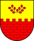 Coat of arms of Miren-Kostanjevica