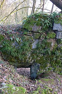 IX. Hauptburg. Mauerrest mit Türöffnung