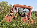 Old tractor in Mörz, Brandenburg, Germany