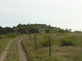 Visão do topo.