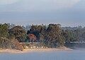 Image 417Montargil Reservoir waterline with a plane tree (Platanus) bathed by early morning light, Montargil Reservoir, Portugal